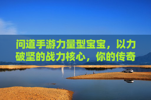 问道手游力量型宝宝，以力破坚的战力核心，你的传奇伙伴！