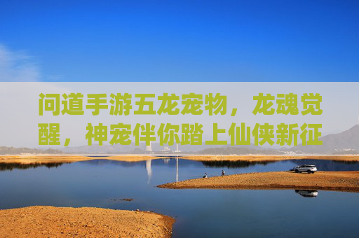 问道手游五龙宠物，龙魂觉醒，神宠伴你踏上仙侠新征途
