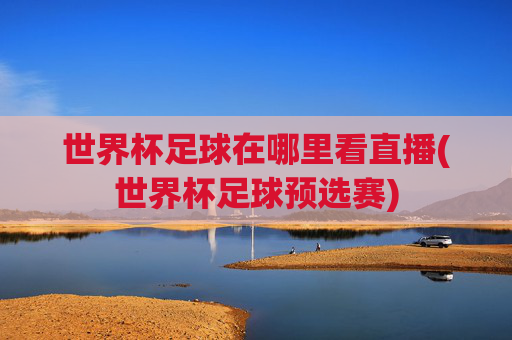 世界杯足球在哪里看直播(世界杯足球预选赛)