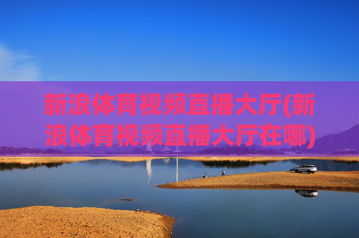 新浪体育视频直播大厅(新浪体育视频直播大厅在哪)