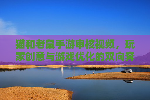 猫和老鼠手游审核视频,玩家创意与游戏优化的双向奔赴,猫和老鼠手游审核视频,玩家创意与游戏优化的双向奔赴