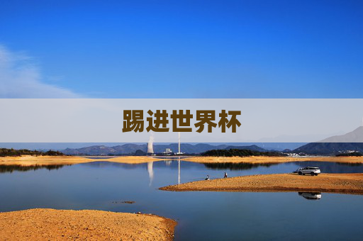 踢进世界杯