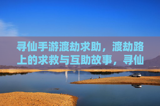 寻仙手游渡劫求助,渡劫路上的求救与互助故事,寻仙渡劫,渡劫路上的求助与互助故事