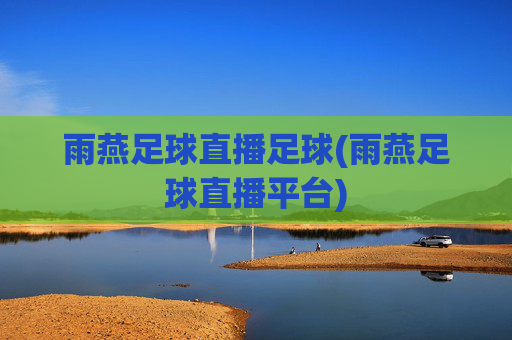 雨燕足球直播足球(雨燕足球直播平台)