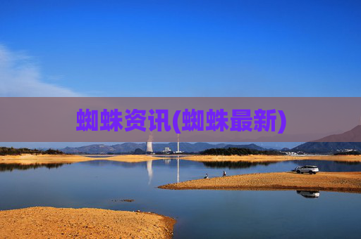 蜘蛛资讯(蜘蛛最新)
