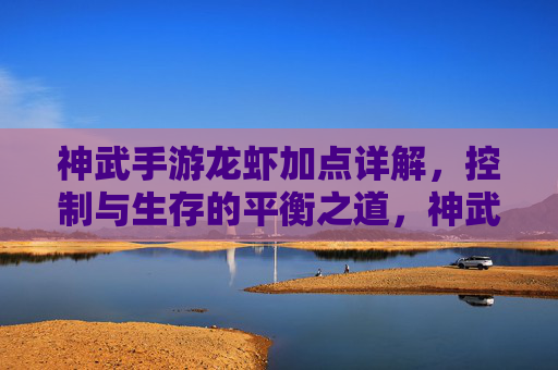 神武手游龙虾加点详解，控制与生存的平衡之道，神武手游龙虾加点详解，控制与生存的平衡之道