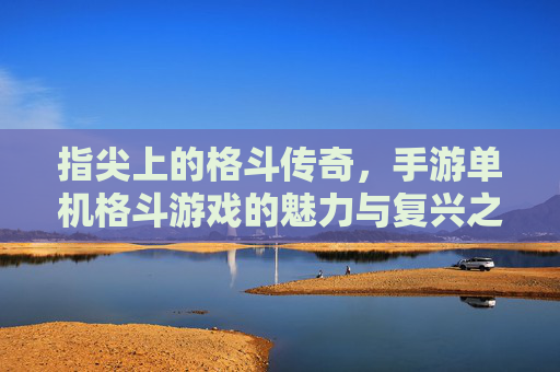 指尖上的格斗传奇，手游单机格斗游戏的魅力与复兴之路，指尖上的格斗传奇，手游单机格斗游戏的魅力与复兴之路