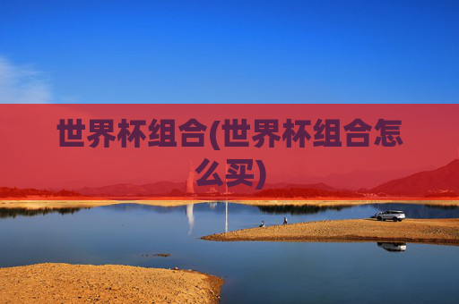 世界杯组合(世界杯组合怎么买)