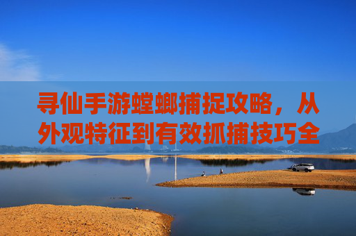 寻仙手游螳螂捕捉攻略,从外观特征到有效抓捕技巧全解析,寻仙手游螳螂捕捉攻略,从外观特征到有效抓捕技巧全解析