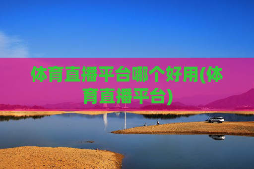 体育直播平台哪个好用(体育直播平台)