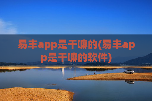 易丰app是干嘛的(易丰app是干嘛的软件)