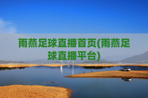 雨燕足球直播首页(雨燕足球直播平台)