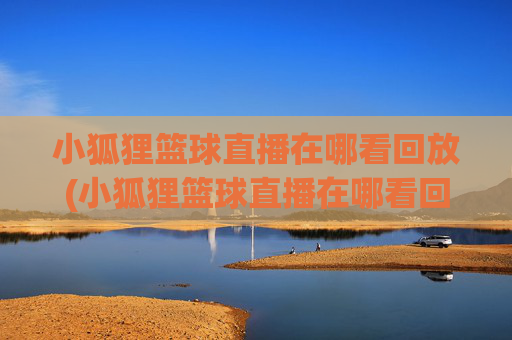 小狐狸篮球直播在哪看回放(小狐狸篮球直播在哪看回放啊)