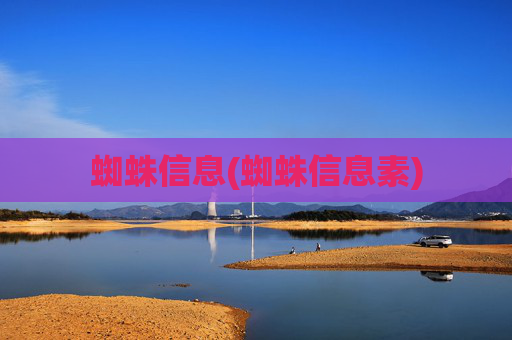 蜘蛛信息(蜘蛛信息素)