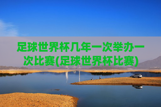 足球世界杯几年一次举办一次比赛(足球世界杯比赛)