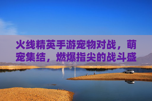 火线精英手游宠物对战，萌宠集结，燃爆指尖的战斗盛宴！