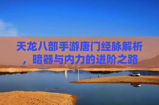 天龙八部手游唐门经脉解析,暗器与内力的进阶之路