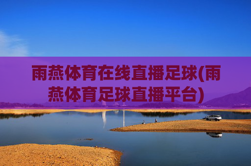 雨燕体育在线直播足球(雨燕体育足球直播平台)