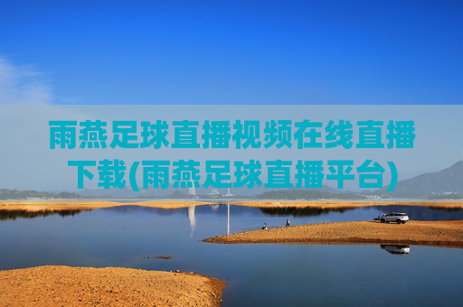 雨燕足球直播视频在线直播下载(雨燕足球直播平台)