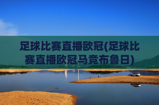 足球比赛直播欧冠(足球比赛直播欧冠马竞布鲁日)