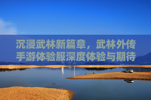 沉浸武林新篇章,武林外传手游体验服深度体验与期待,沉浸武林新篇章,武林外传手游体验服深度体验与期待