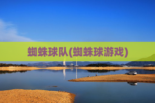 蜘蛛球队(蜘蛛球游戏)