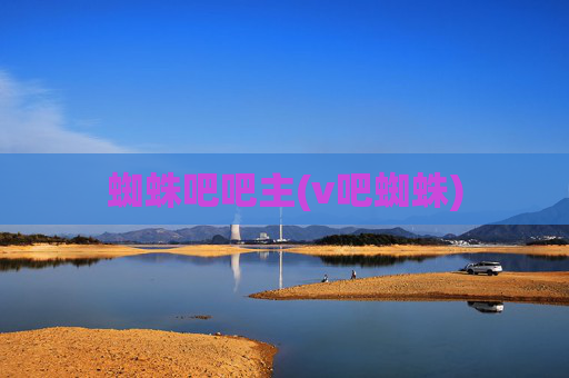 蜘蛛吧吧主(v吧蜘蛛)
