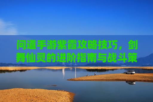 问道手游紫霞攻略技巧，剑舞仙灵的进阶指南与战斗策略详解