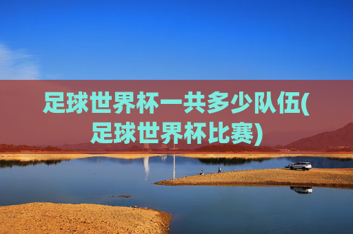 足球世界杯一共多少队伍(足球世界杯比赛)