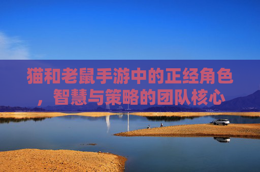 猫和老鼠手游中的正经角色,智慧与策略的团队核心