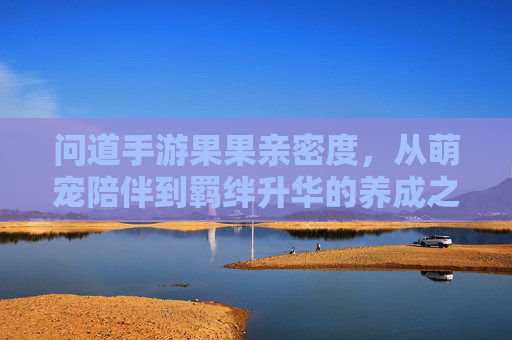 问道手游果果亲密度,从萌宠陪伴到羁绊升华的养成之路