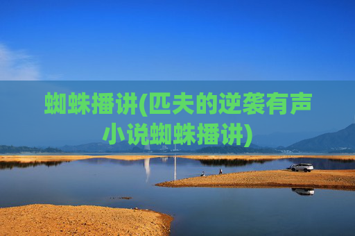 蜘蛛播讲(匹夫的逆袭有声小说蜘蛛播讲)
