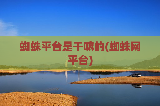 蜘蛛平台是干嘛的(蜘蛛网平台)