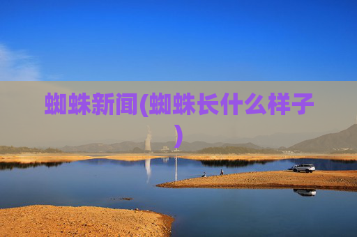 蜘蛛新闻(蜘蛛长什么样子)