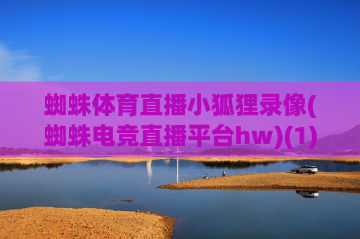 蜘蛛体育直播小狐狸录像(蜘蛛电竞直播平台hw)(1)