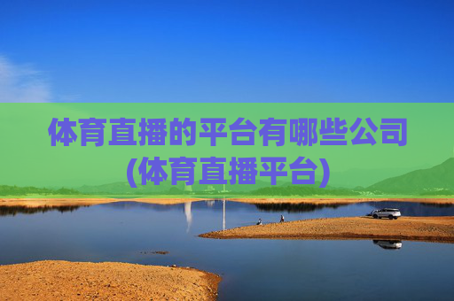 体育直播的平台有哪些公司(体育直播平台)