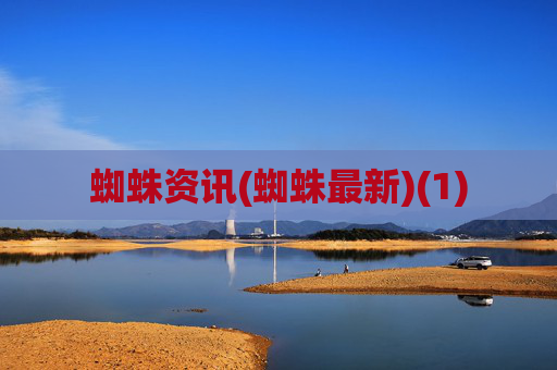 蜘蛛资讯(蜘蛛最新)(1)