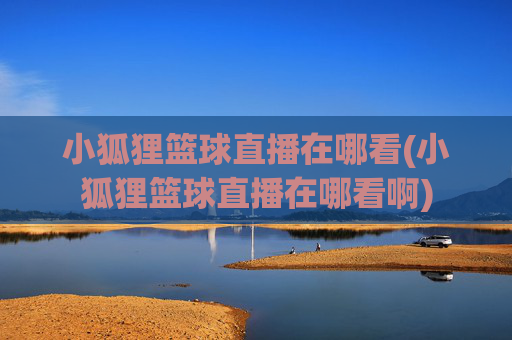 小狐狸篮球直播在哪看(小狐狸篮球直播在哪看啊)