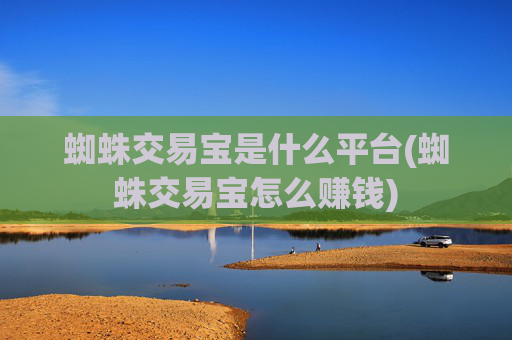 蜘蛛交易宝是什么平台(蜘蛛交易宝怎么赚钱)