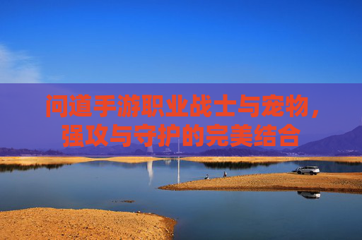 问道手游职业战士与宠物,强攻与守护的完美结合