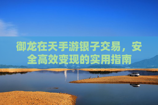 御龙在天手游银子交易，安全高效变现的实用指南