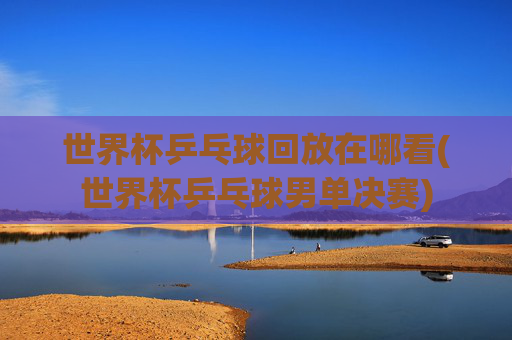 世界杯乒乓球回放在哪看(世界杯乒乓球男单决赛)