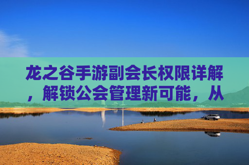 龙之谷手游副会长权限详解,解锁公会管理新可能,从零到一的进阶指南