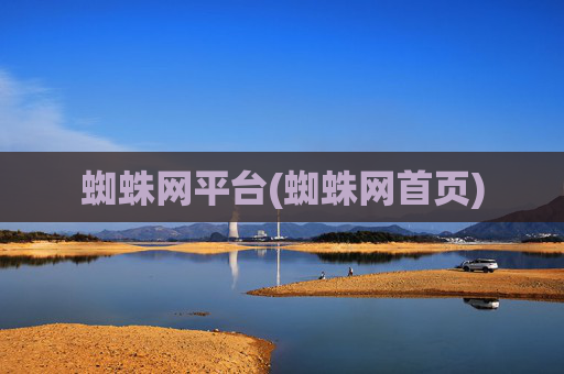 蜘蛛网平台(蜘蛛网首页)