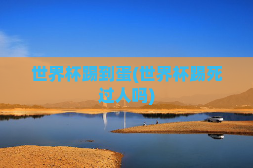 世界杯踢到蛋(世界杯踢死过人吗)