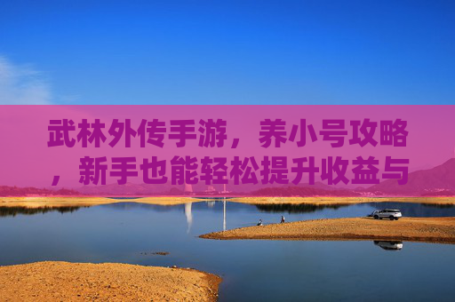 武林外传手游,养小号攻略,新手也能轻松提升收益与体验