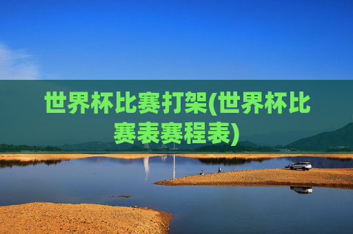 世界杯比赛打架(世界杯比赛表赛程表)