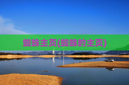 蜘蛛主页(蜘蛛的主页)