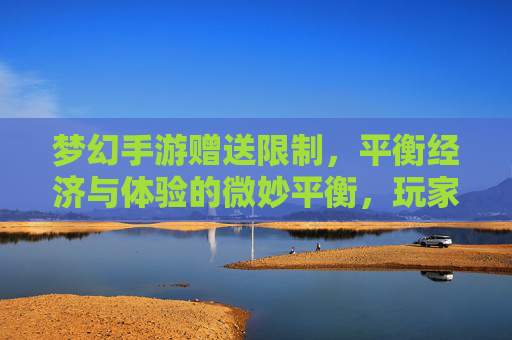 梦幻手游赠送限制,平衡经济与体验的微妙平衡,玩家视角下的新挑战与思考,梦幻手游赠送限制,平衡经济与体验的玩家视角新挑战与思考