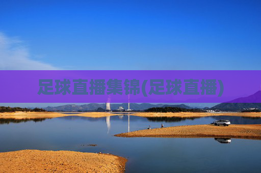 足球直播集锦(足球直播)